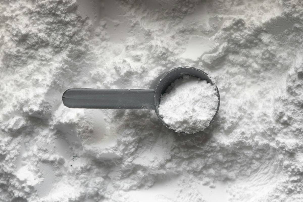 Proteinpulver – whey, kasein og plantebasert