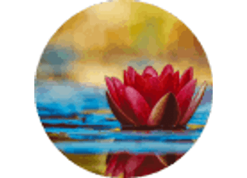 Cheza Dansestudio & Cheza Workout